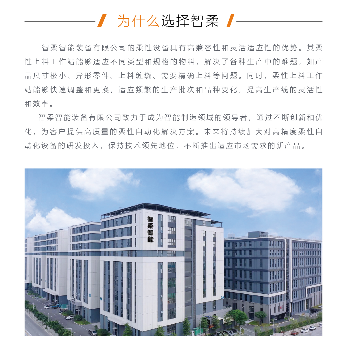 柔性视觉检测机